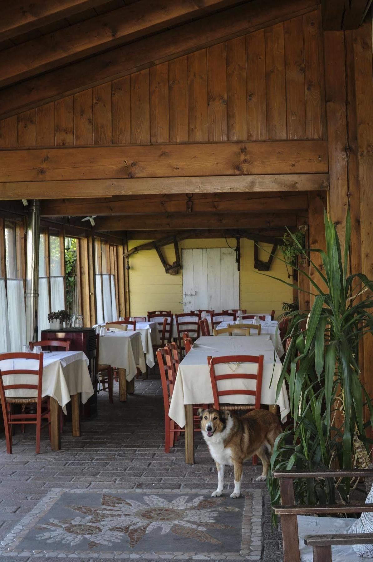 Locanda Merlaschio فينْتْسا المظهر الخارجي الصورة